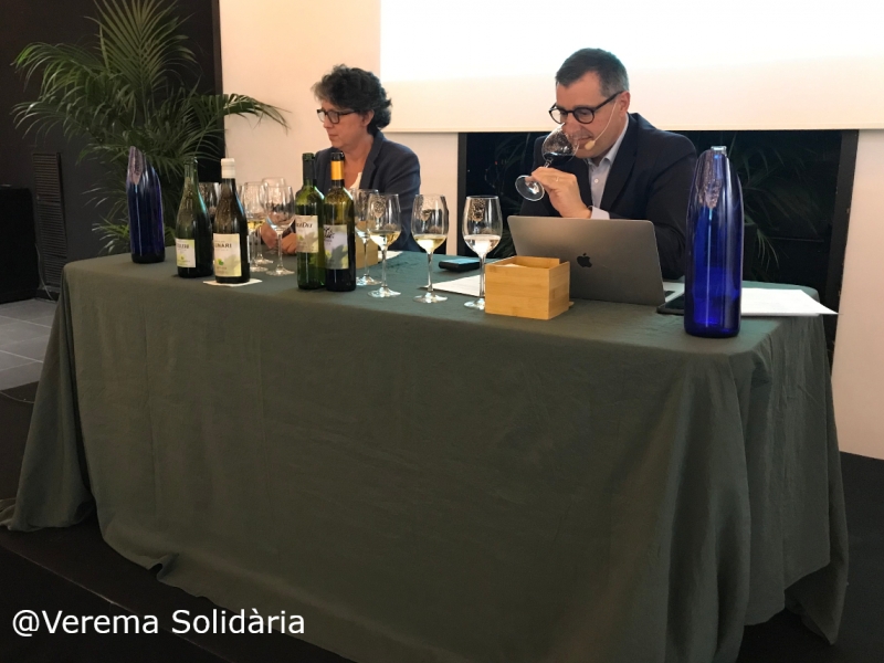 Verema Solidària torna a vinya i estrena model 2.0 (3)