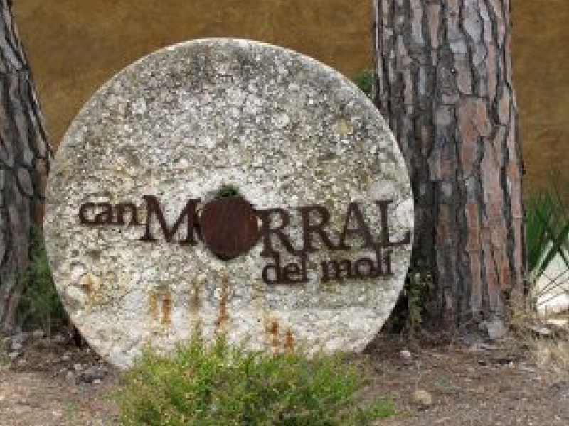 4/09 Verema Solidària a Can Morral del Molí (1)
